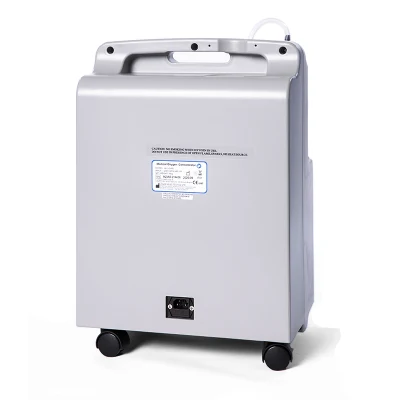 Longfian PSA Electric Smart Medical Portable Oxygen Concentrator 5L in Stock