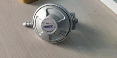 Low Pressure Gas Cooker Parts LPG Gas Cylinder Regulator Valves for South Africa
