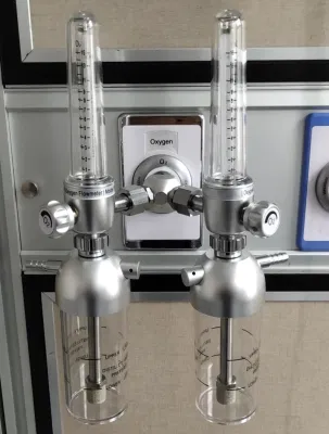 Hospital Wall Mounted Double Medical Oxygen Flowmeter with Humidifier and Bottle