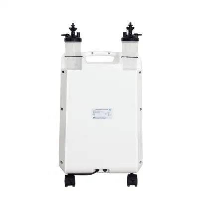 Price Oxygen Concentrator Dual Flow 10liters Price Oxygen Gas Plant 10L Medical Equipment Oxygen with CE