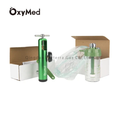 Medical Use Oxygen Tank Regulator Cga870-Diss 15L Gas Regulator for Oxygen Gas Cylinder