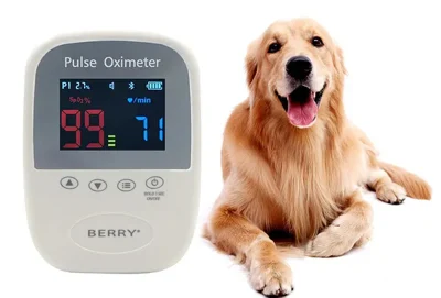 Pet Animal Veterinary Pulse Oximeter Diagnosis Equipment for Sale Wholesale Cow Cat Dog Sheep Use Animal Husbandry