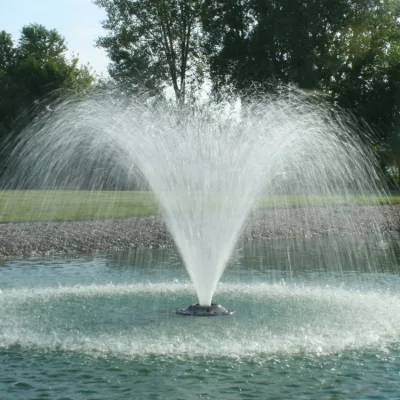 Custom Colorful Outdoor Modern Programmed Large Water Dancing Floating Garden Fountain