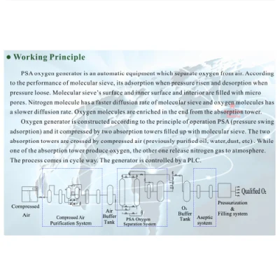 Chenrui Air Separation Plant Medical O2 Oxigen Gas Psa Oxygen Generator Equipment