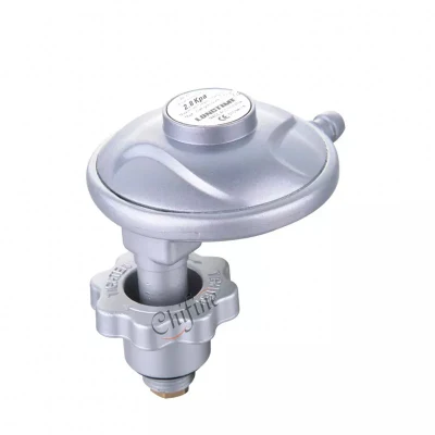 Low Pressure Gas Cooker Parts LPG Gas Cylinder Regulator Valves for South Africa