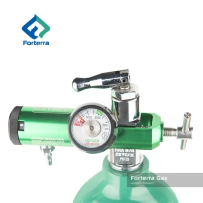 Medical Use Oxygen Gas Cylinder Regulator Barb 15L Air Pressure Regulator with Cga870 Connector
