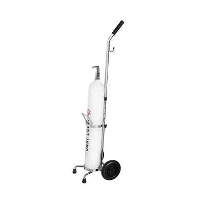 Hospital Medical Furniture Factory Custom Stainless Steel D Type Size 10 Litre Oxygen Cylinder Trolley