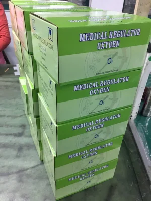 Medical Oxygen Regulator with Flowmeter Bull Nose Type Yqy-740lw5 Inhaler