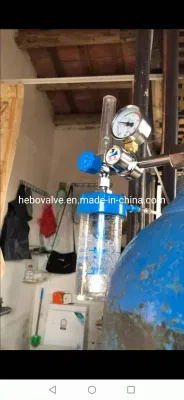 High Pressure Cylinder Oxygen Regulator Male G5/8 Medical Medical Gas Equipments