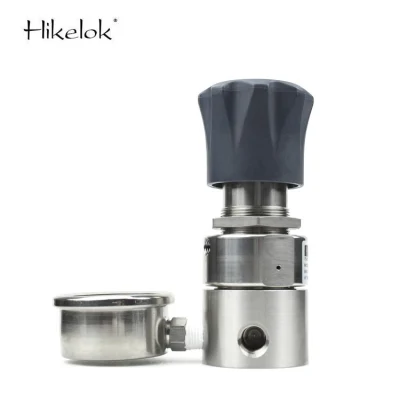 Air Gas Regulators 316 Stainless Steel Pressure Regulator Valves