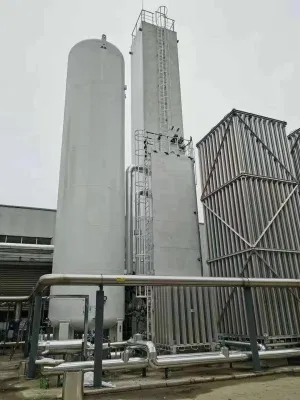 High Purity Oxygen Plant Air Separation Equipment Psa Oxygen Plant for Medical Equipment