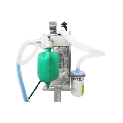 Chinese Manufacturer Medical Veterinary Gas Anesthesia Machine Vet Anesthesia Equipments for Pet Cat Dog Animal