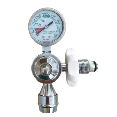 Medical Gas Bull Nose Oxygen Regulator with Schrader Valve OEM Factory