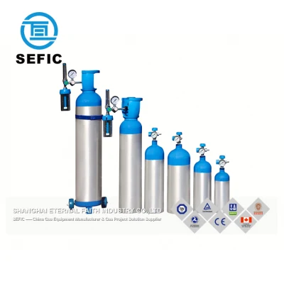 Best Selling Factory Price Medical Oxygen Refill Home Oxygen Equipment