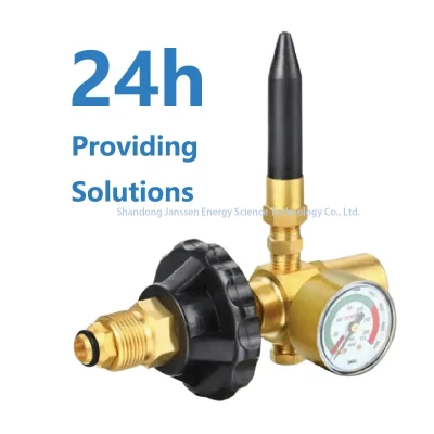 Brass Oxygen Regulator for Oxygen Tank Double Gauge Stype, Bull Nose, 2-15lpm