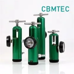 Pin Index Brass Oxygen Regulator (With Check Valve)