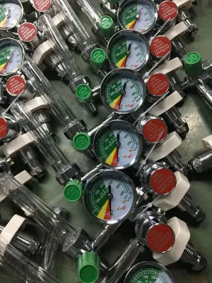 Medical Oxygen Regulator with Flowmeter Bull Nose Type Yqy-740lw5 Inhaler