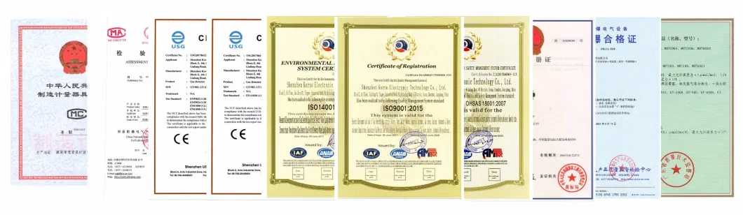 Online Ce Certified Oxygen O2 Gas Alarm (O2)