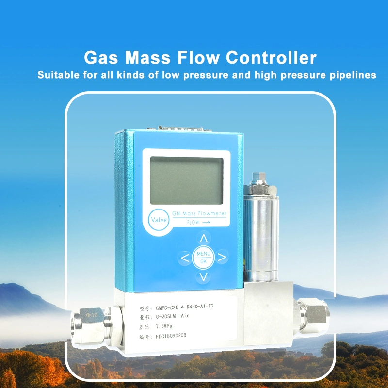 China Most Reliable Manufacturer Mass Gas Flow Meter