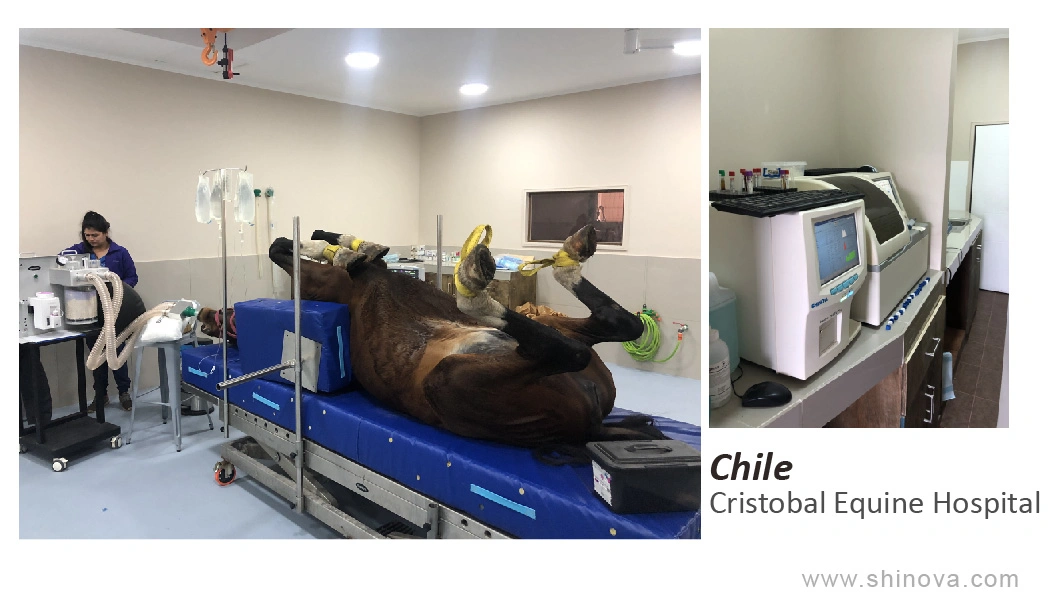 Veterinary Medical Equipment Veterinary Oxygen Concentrator Soc-20h