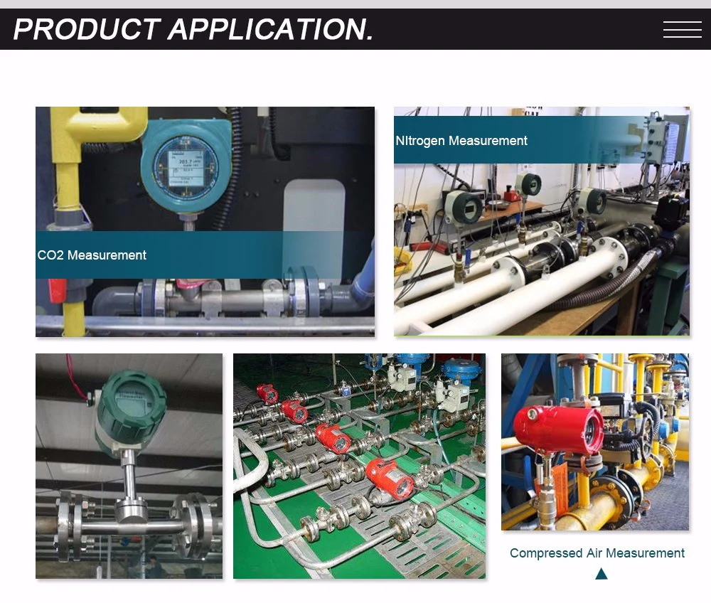 Durable Quality Thermal Gas Flowmeter Gas Mass Flow Meter for Oxygen