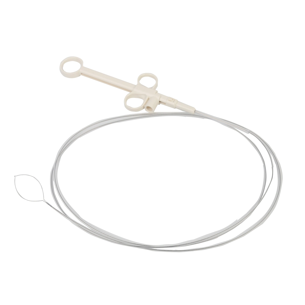 Disposable Endoscopic Electric Snare Device for Polypectomy of Digestive and Respiratory Tracts