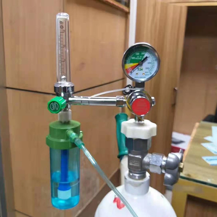 Professional Manufacturer Hospital Home Use Medical Oxygen Regulator Buoy Type Oxygen Inhaler Flowmeter