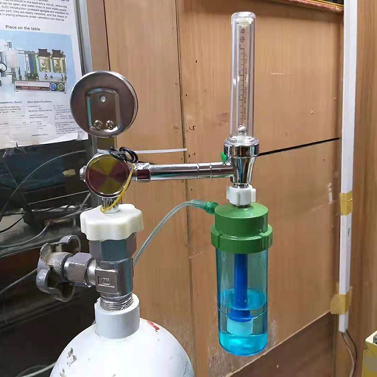 Professional Manufacturer Hospital Home Use Medical Oxygen Regulator Buoy Type Oxygen Inhaler Flowmeter