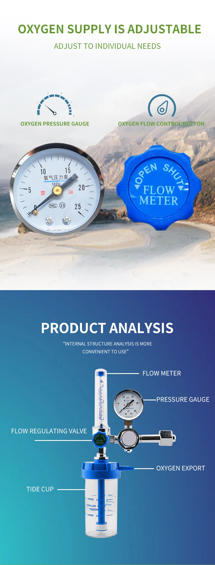 Oxygen Pressure Gas Regulator Cga540 Flowmeter Inhaler Flow Meter Absorber Buoy Type Inhalator