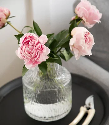  Wholesale Clear Glass Nordic Simple Glass Vase Creative Decoration Furniture Flower Hydroponic Creative Decoration