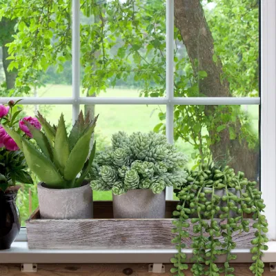 Indoor Greenery Decor Mini Potted Artificial Succulent Fake Plant