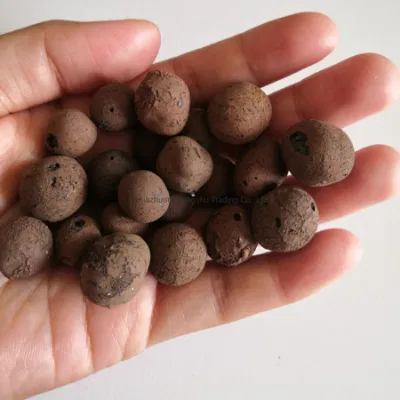  Flower Gardening Plants Substrate Lightweight Expanded Clay Aggregate Leca