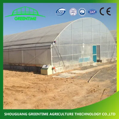 Agriculture/Single-Span/Tunnel Plastic Film Greenhouse with Irrigation System for Lettuce Planting