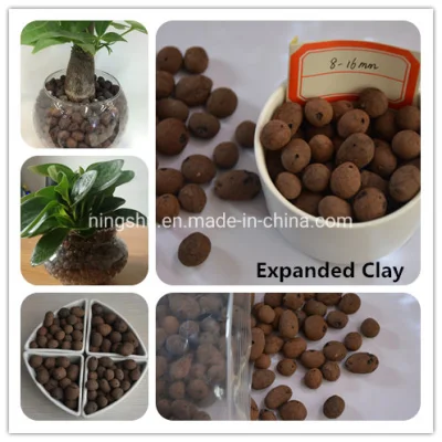  8-10mm Leca Clay Balls for Mulching, Cactus &amp; Succulents