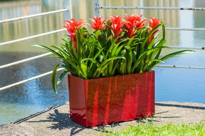  Garden Decor Decorative Red Plastic Pots for Plants with Self-Watering Functions for Orchid, Herbs, Cactus Rectangular Plant Pots (GL-1-3)