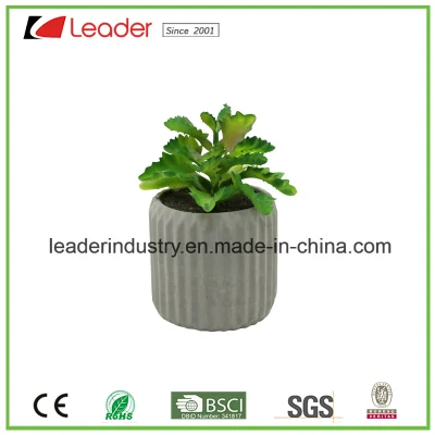  Small Modern Round Indoor Gray Cement Flower Planter Pot / Outdoor Succulent &amp; Cactus Plant Container