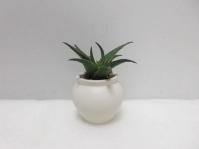 DIY Real Touch Artificial Succulent Plants Green Picks Bulk Stems