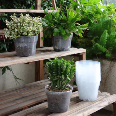 4/6/8/10 Transparent Round Plastic Grow Box Mini Seedling Pot Garden Thick Plant Nursery Flower Seedling Pots for Home