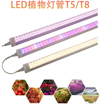  T5t8 Indoor Waterproof Full Spectrum Plant Growth Lamp Flower Seedling Succulent Grow Tube