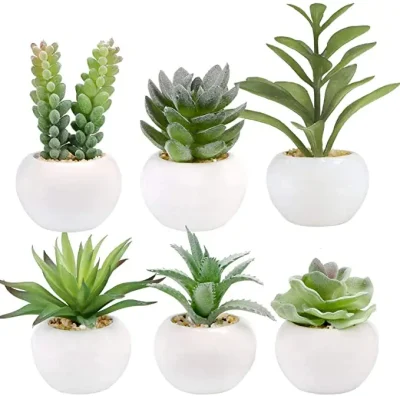  Wholesale Succulents Plants Artificial in White Ceramic Pots Small Fake Succulents Plants