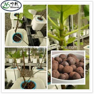8-16mm Hydroton Expanded Clay Pebbles for Hydroponics, Aquaponics, Orchids