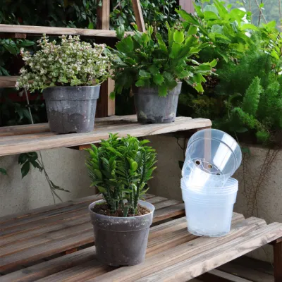 4/6/8/10 Transparent Round Plastic Grow Box Mini Seedling Pot Garden Thick Plant Nursery Flower Seedling Pots for Home