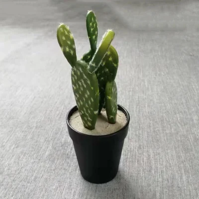  Faux Artificial Cactus Succulents Potted with Plastic Material White Base for Desk Decoration House Decoration