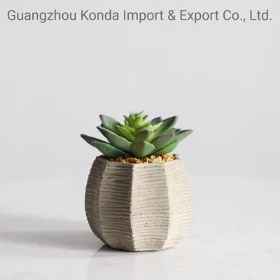  Tropical Mixed Natural Kit Artificial Succulents for Sale