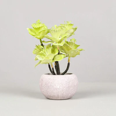  Mini Realistic Fake Succulent Plants with Pulp Pots