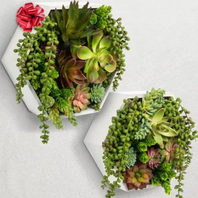  Bathroom Shelves Decor Art Succulent Wall Artificial Plant