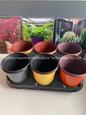 Colourful Planter Pots, Succulent Pots, Nursery Pots
