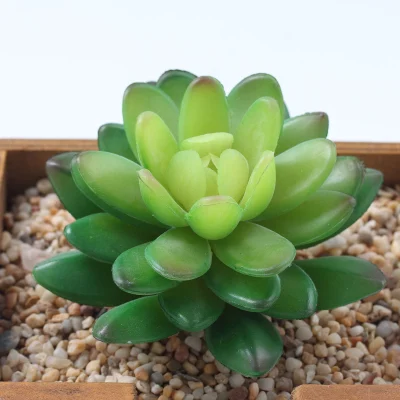 Inunion Realistic Artificial Plants Succulents for Decoration