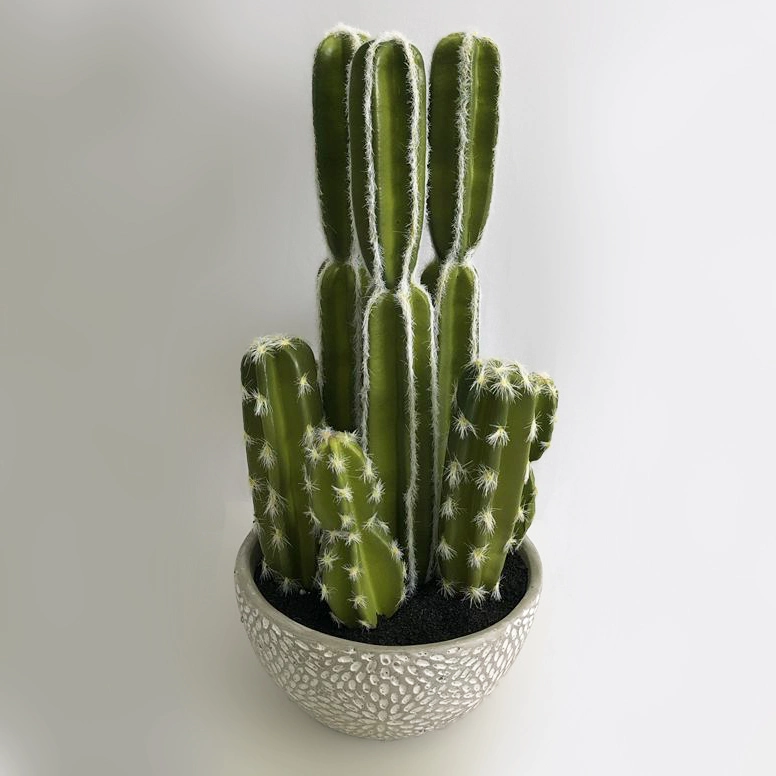 36cm High Mini Home Decoration Plastic Pot Cactus