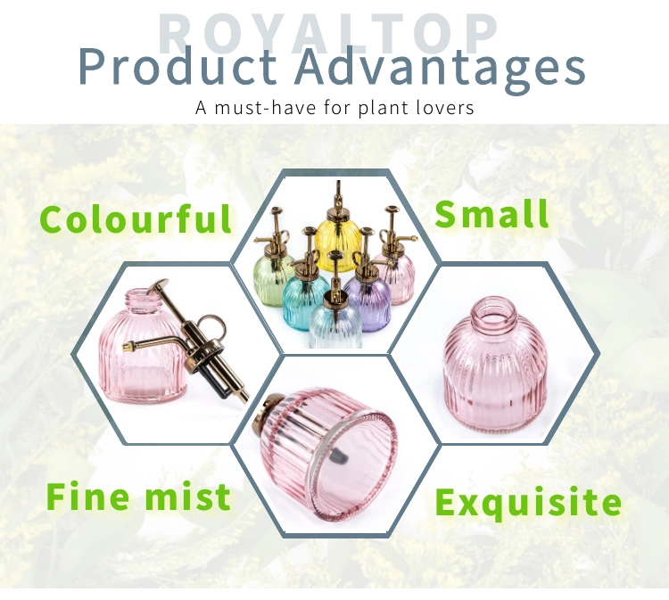 Wholesale 200ml Mini Manual Press Pump Colorful Vintage Embossed Glass Plant Mister Glass Spray Bottle for Indoor Plants